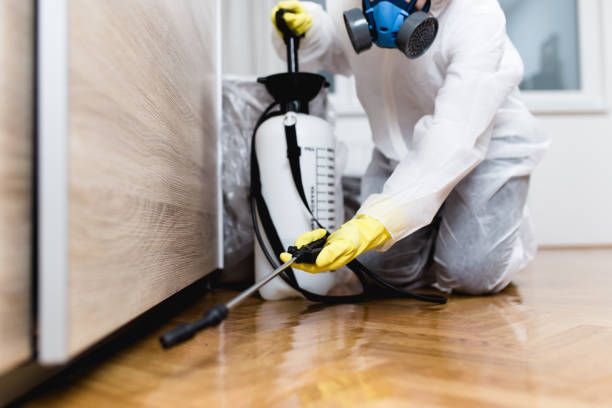 Best Pest Removal Services  in Angier, NC