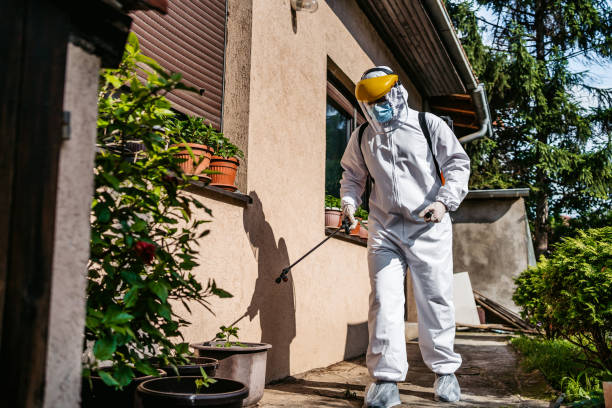 Best Rodent Control Near Me  in Angier, NC