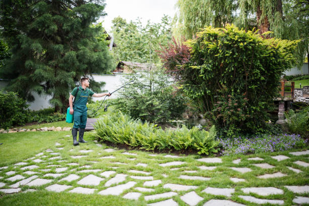Best Affordable Pest Control Services  in Angier, NC
