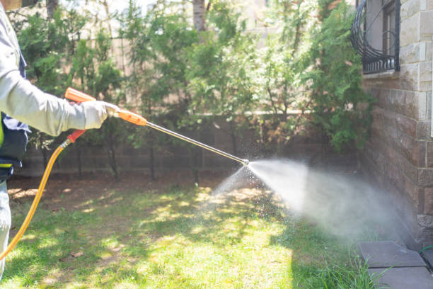 Best Wasp Removal Services  in Angier, NC