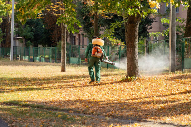 Best Rat Extermination Near Me  in Angier, NC