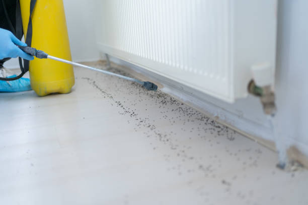 Best Pest Control Treatment  in Angier, NC