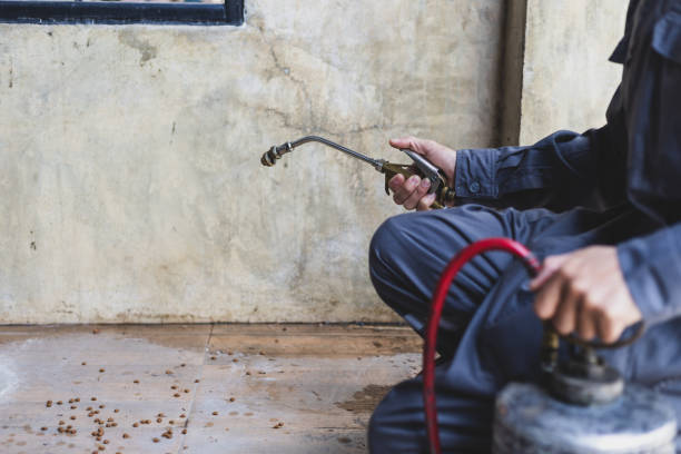 Best Local Pest Control Services  in Angier, NC