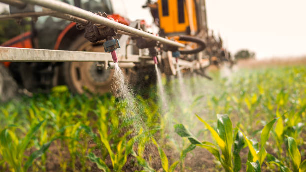Best Ant Control Services  in Angier, NC